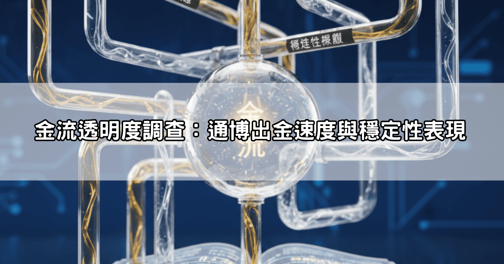 金流透明度調查：通博出金速度與穩定性表現